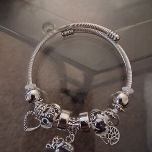 Elegant Silver Charm Bracelet